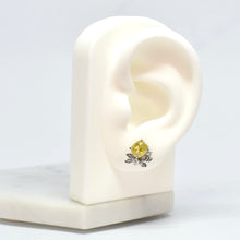 Load image into Gallery viewer, Belita Earrings