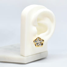 Load image into Gallery viewer, Bella Earrings