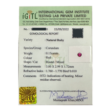 Load image into Gallery viewer, Daniela Earrings