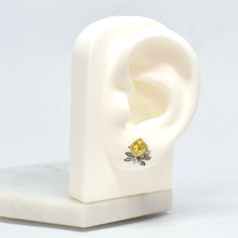 Load image into Gallery viewer, Belita Earrings
